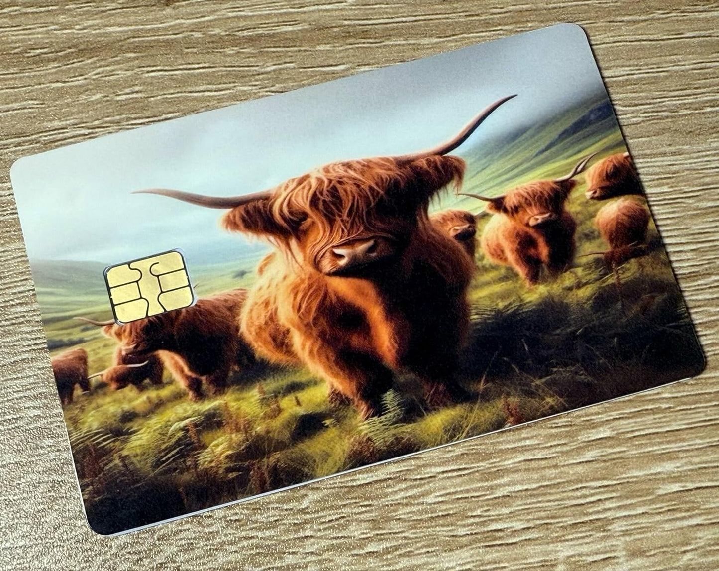 Highland Cow Herd Credit Card Skin