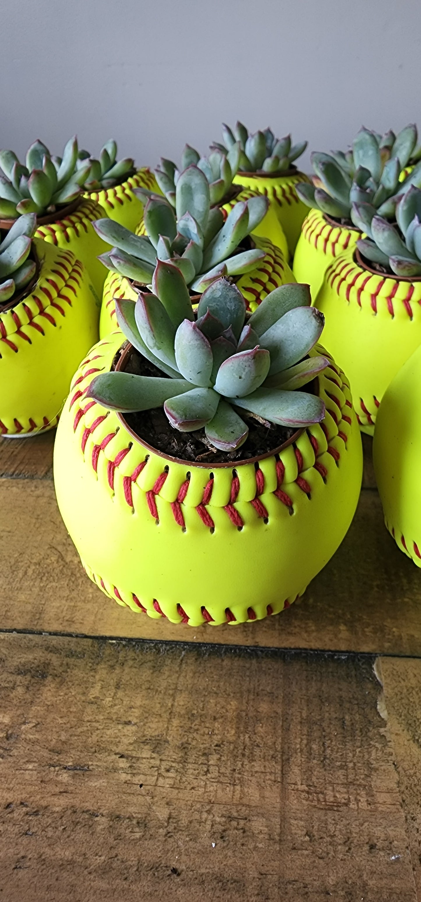 Softball Planter