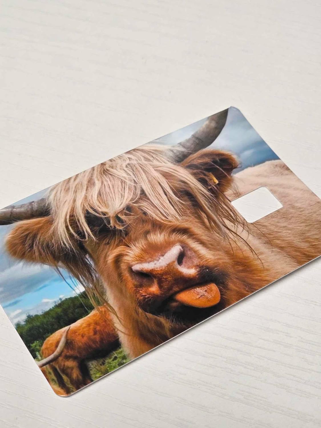 Highland Cow Portrait Credit/Debit Card Sticker