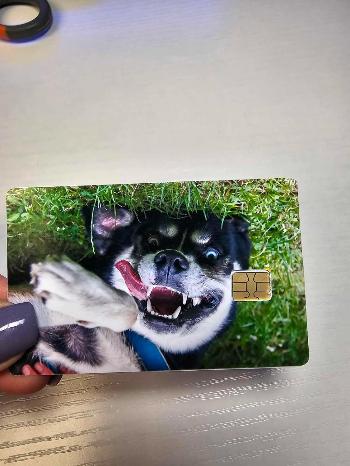 Funny Dog Photo Printed Credit/Debit Card Sticker