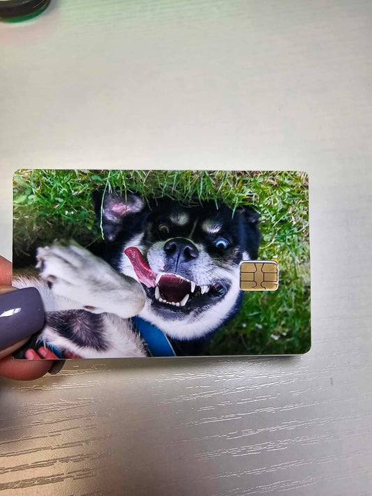 Funny Dog Photo Printed Credit/Debit Card Sticker