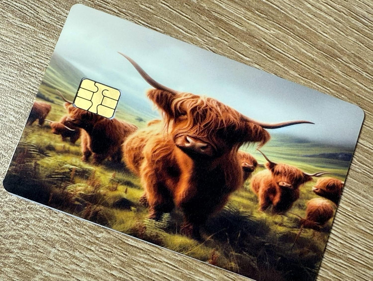Highland Cow Herd Credit Card Skin