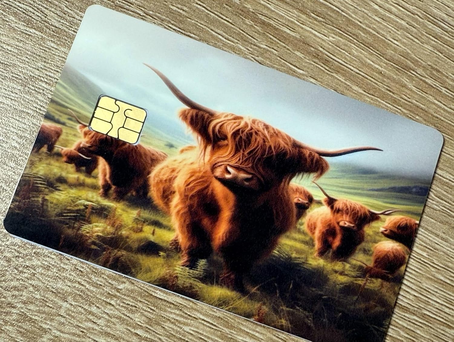 Highland Cow Herd Credit Card Skin