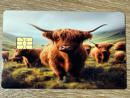 Highland Cow Herd Credit Card Skin