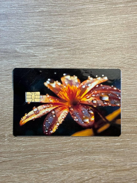 Dew-Kissed Flower on Dark Background Credit/Debit Card