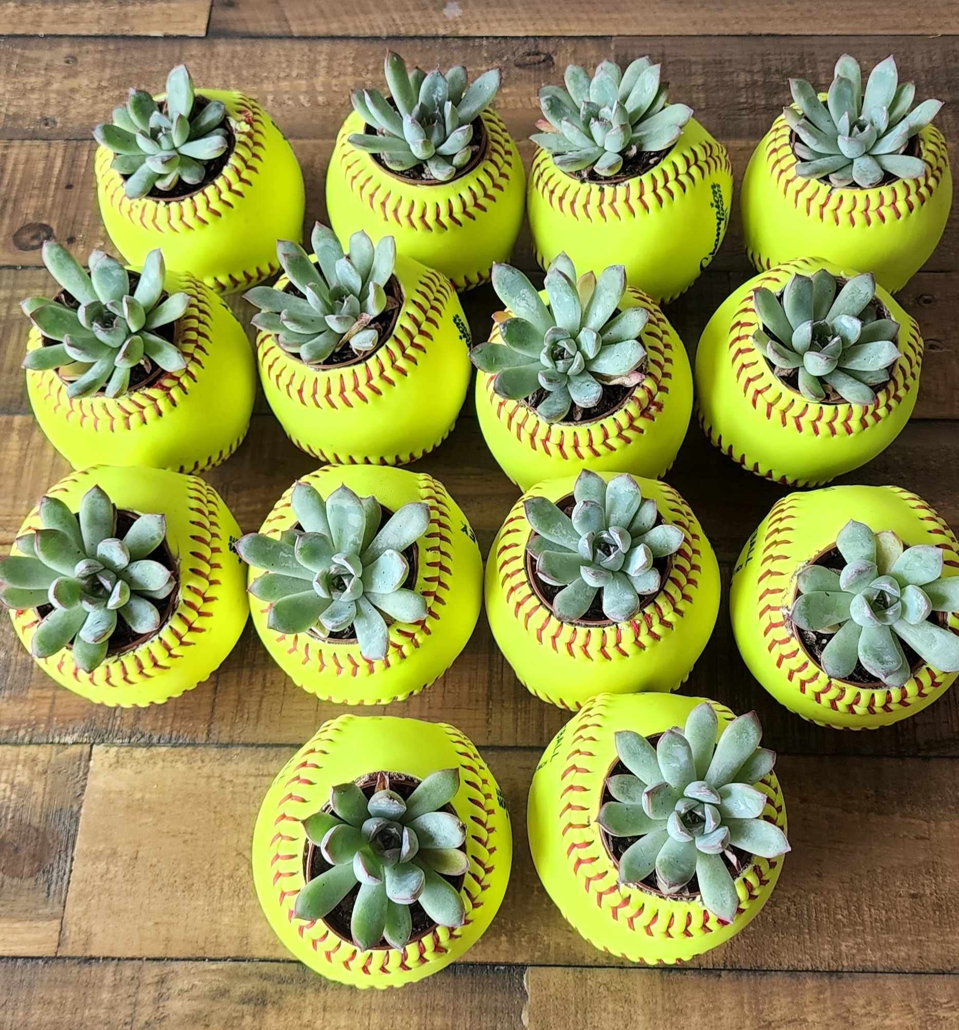 Softball Planter