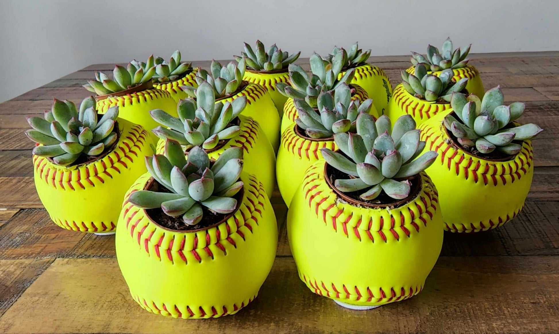 Softball Planter