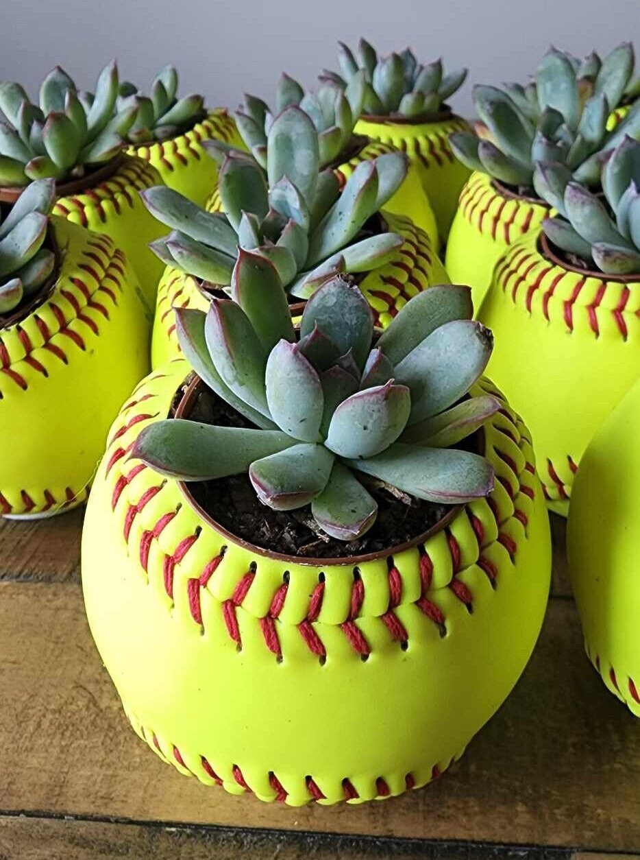 Softball Planter